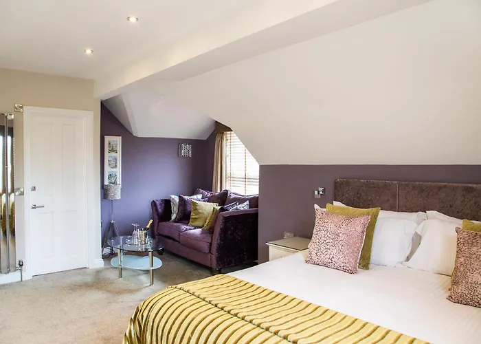 Best Dog Friendly Hotels in Torquay Devon