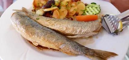 Frisch aus der Pfanne mit Bratkartoffeln und Pusztasalat kommen Hering, Dorsch und Zander.