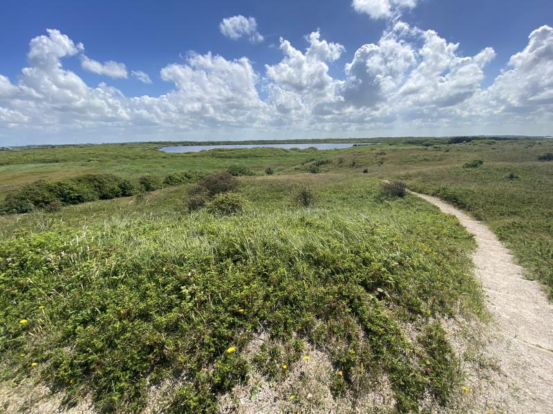 Callantsoog Zwanenwater