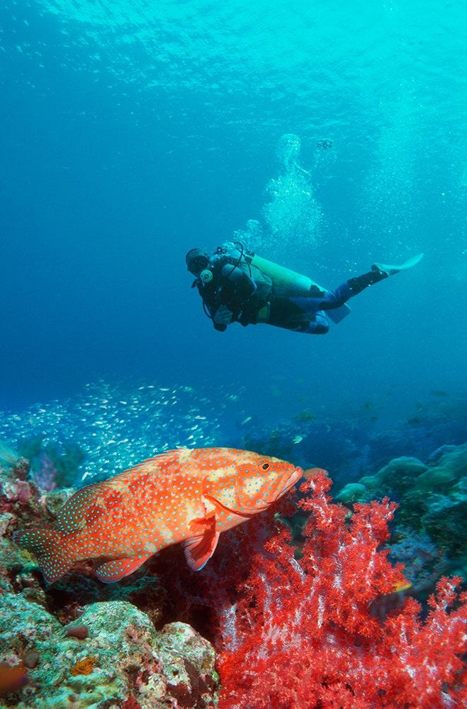 The 23 best places to visit in India in 2023