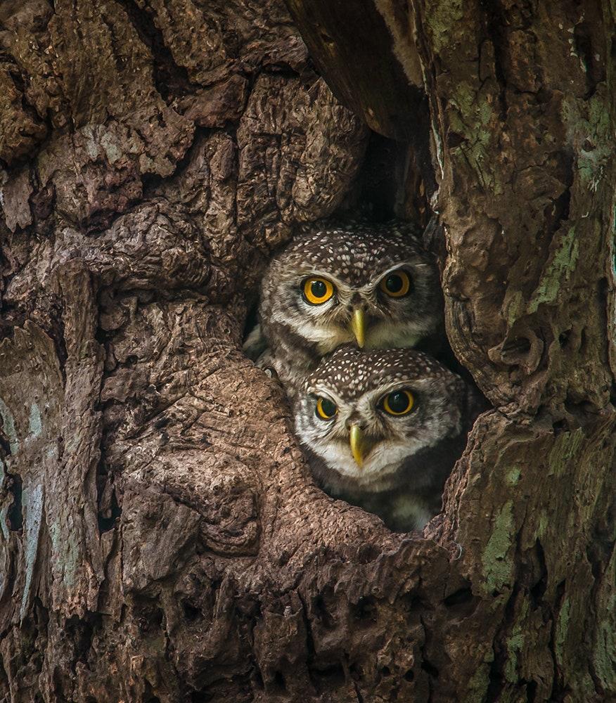 The 23 best places to visit in India in 2023