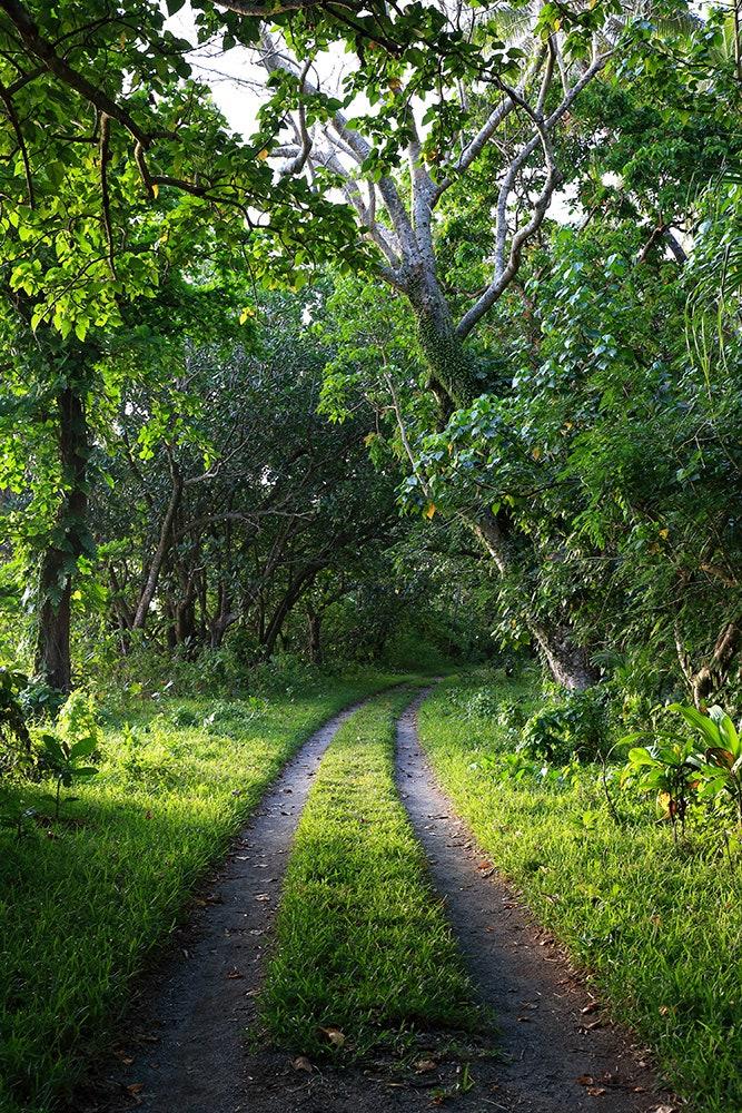 The 23 best places to visit in India in 2023