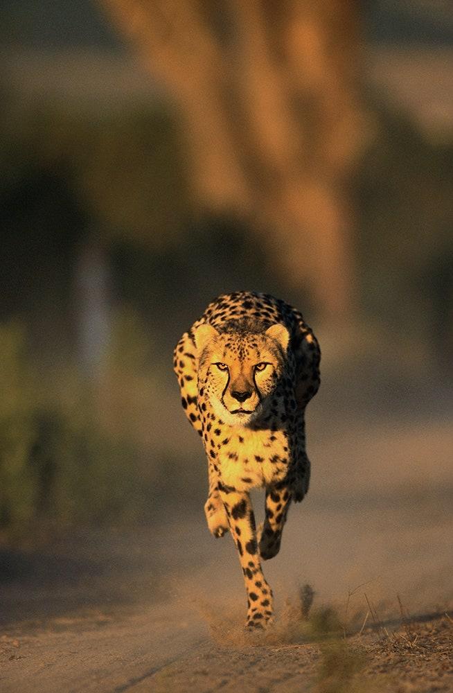 The 23 best places to visit in India in 2023